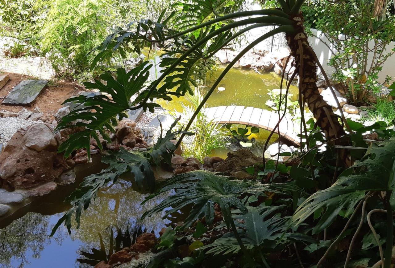 Villa Tortuga Марбеля Екстериор снимка