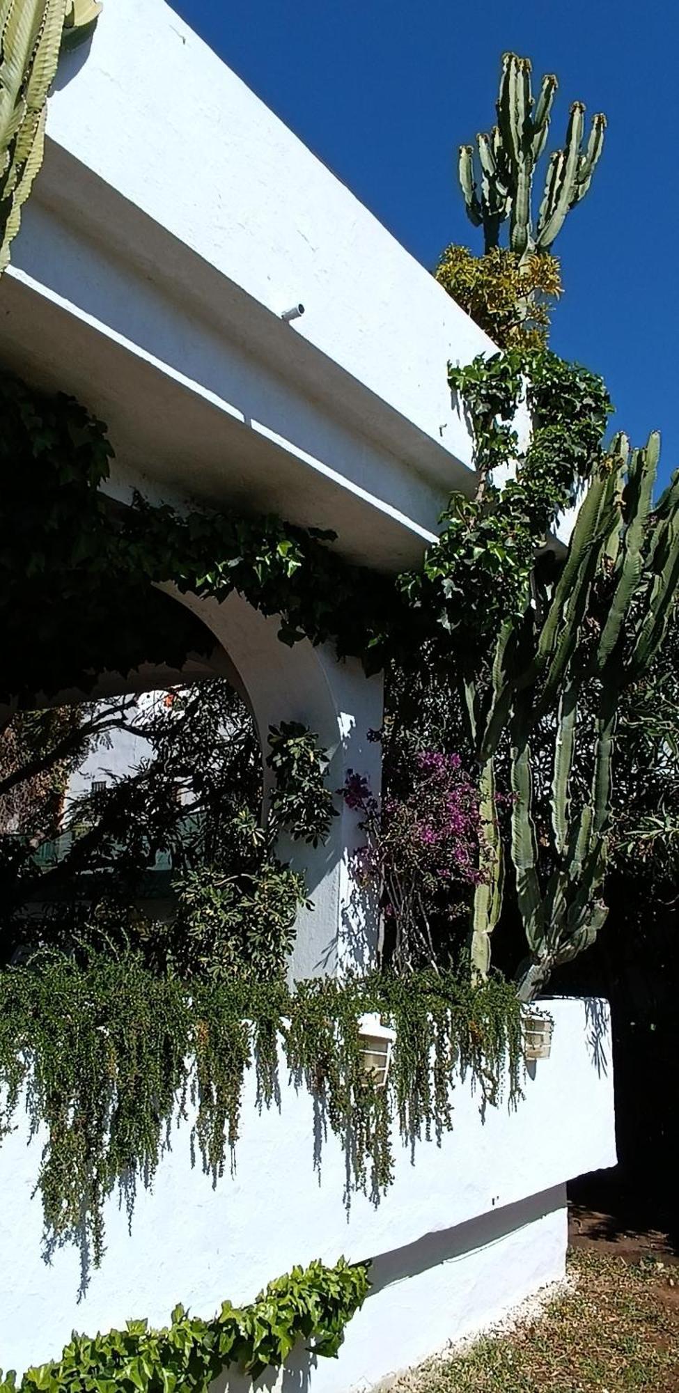 Villa Tortuga Марбеля Екстериор снимка