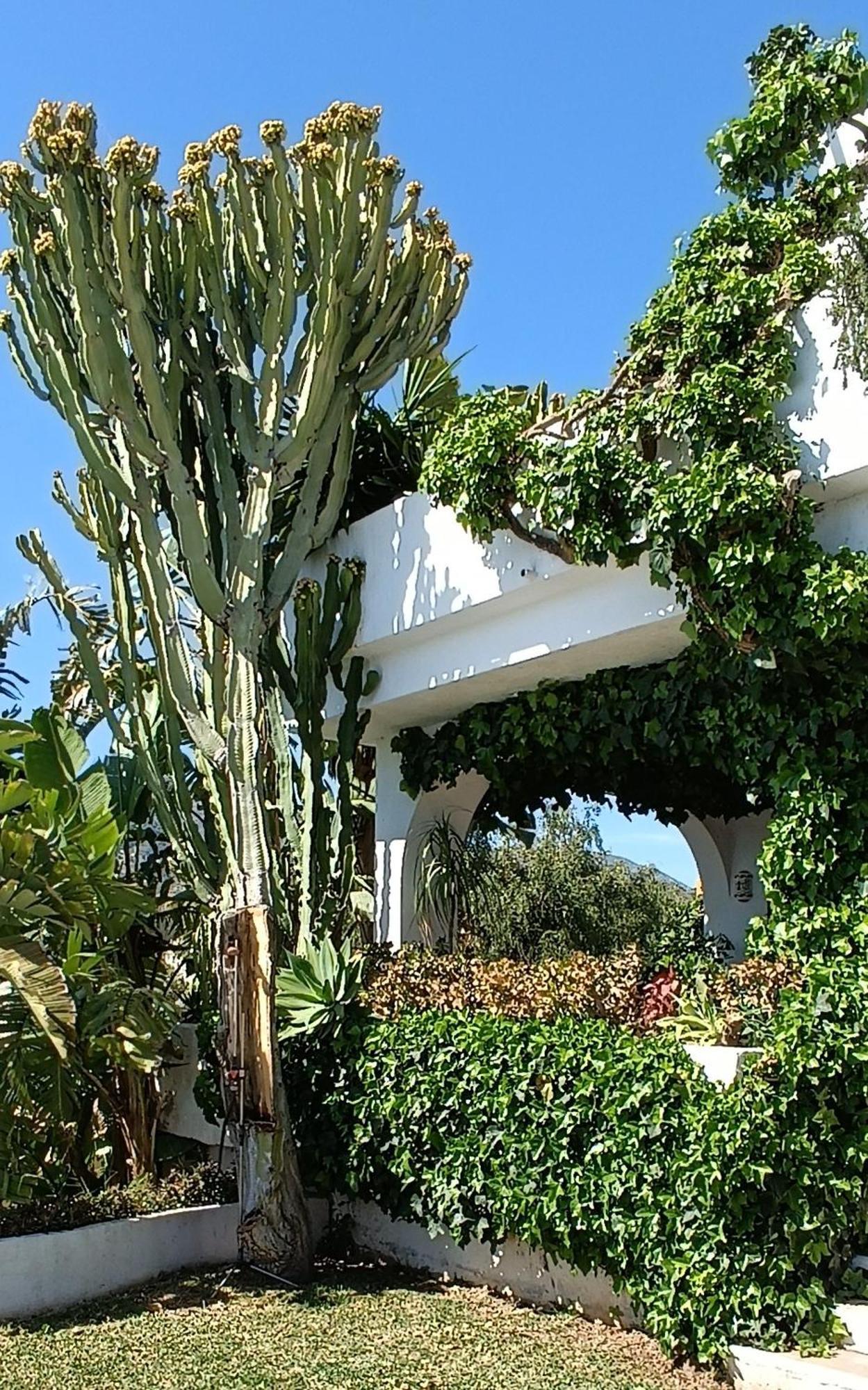 Villa Tortuga Марбеля Екстериор снимка